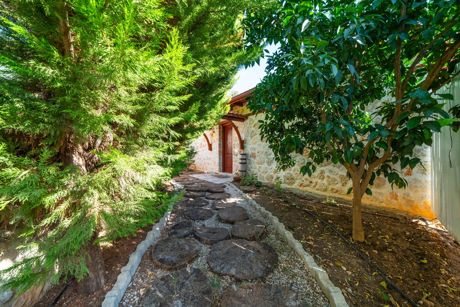 Fotoğraf 26