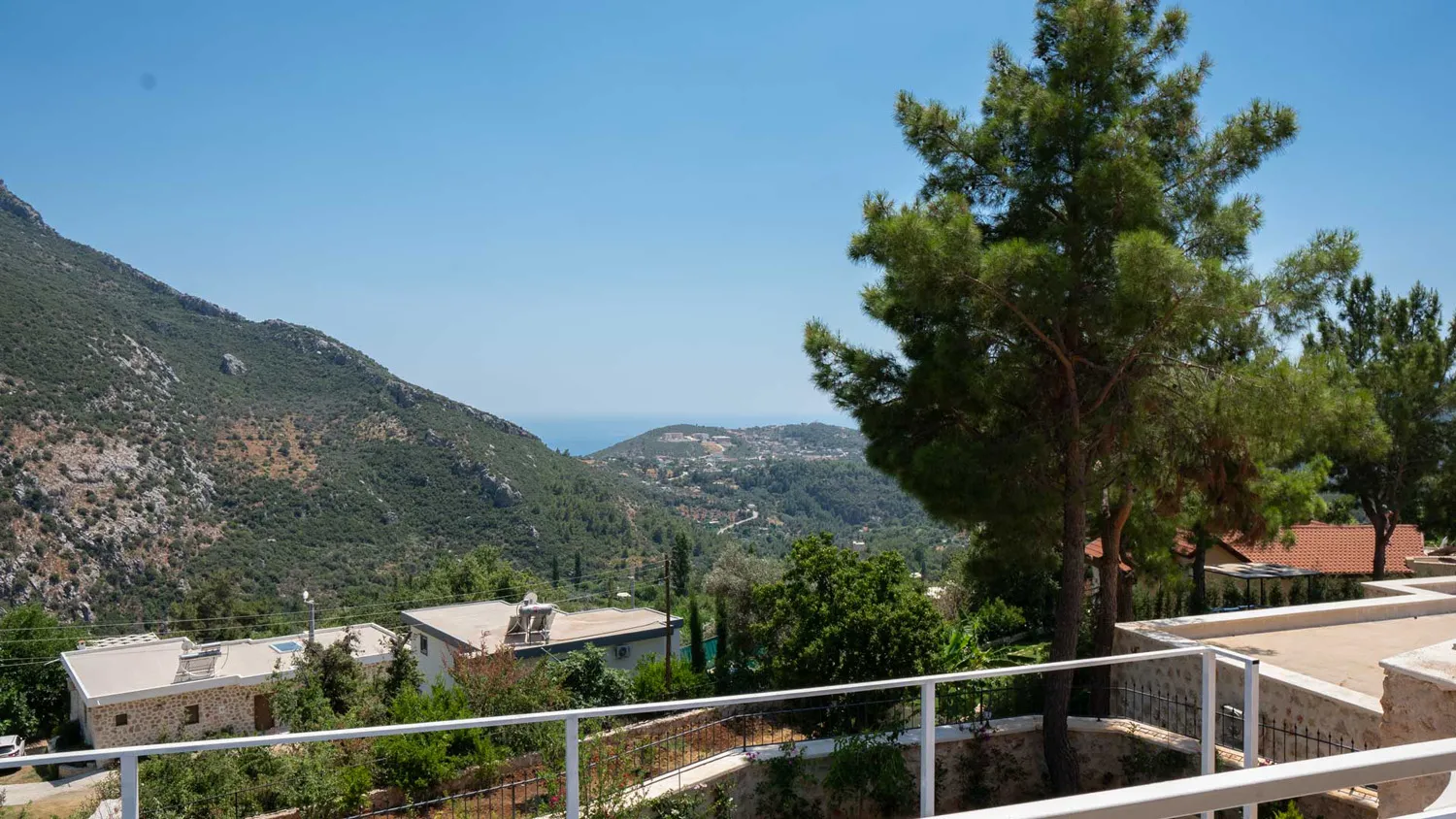 Fotoğraf 17