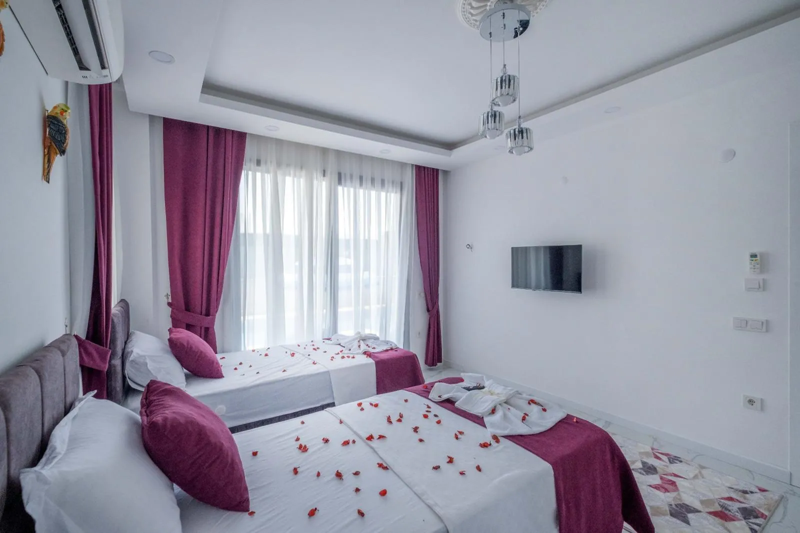 Fotoğraf 20