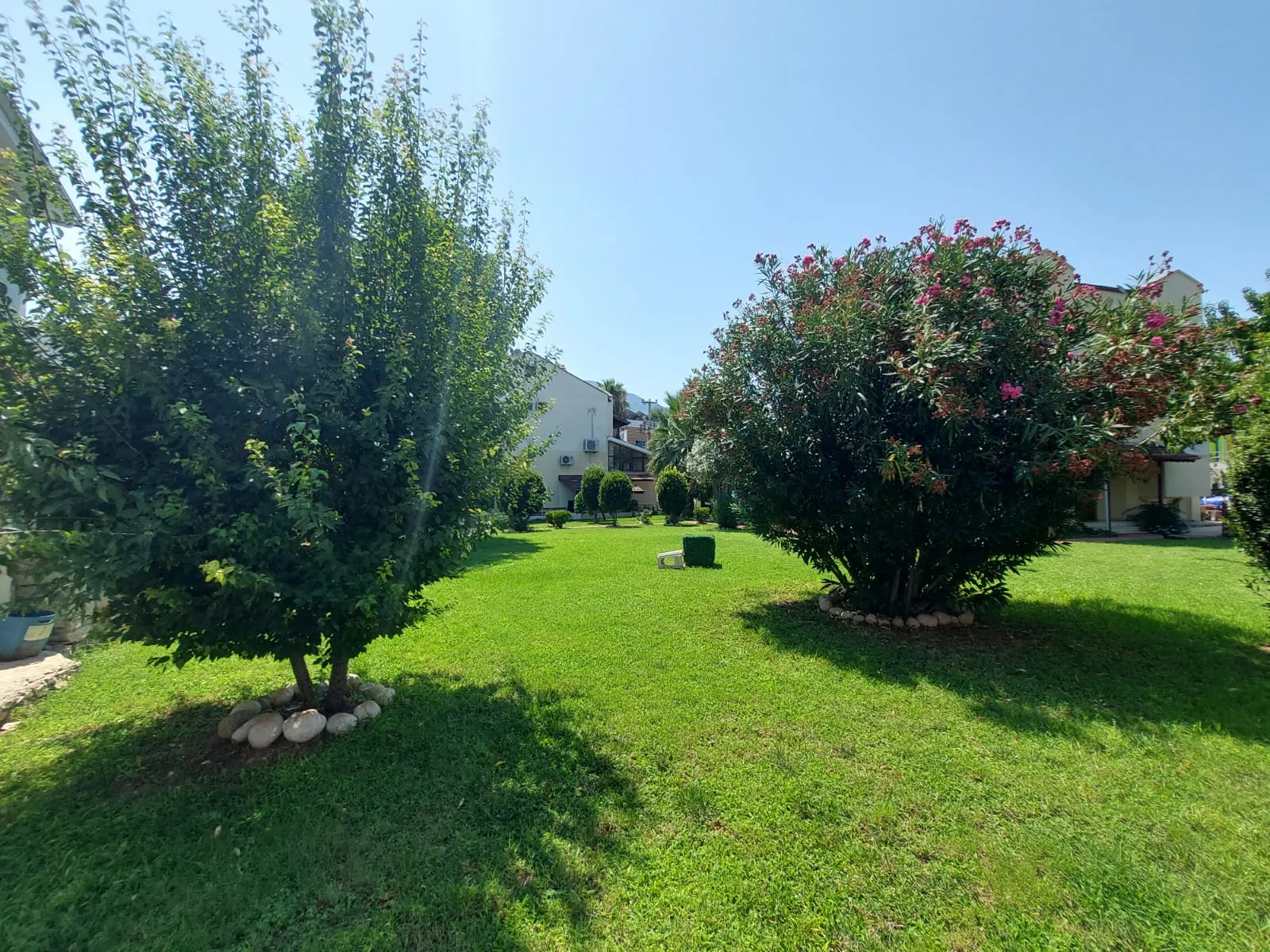 Fotoğraf 44