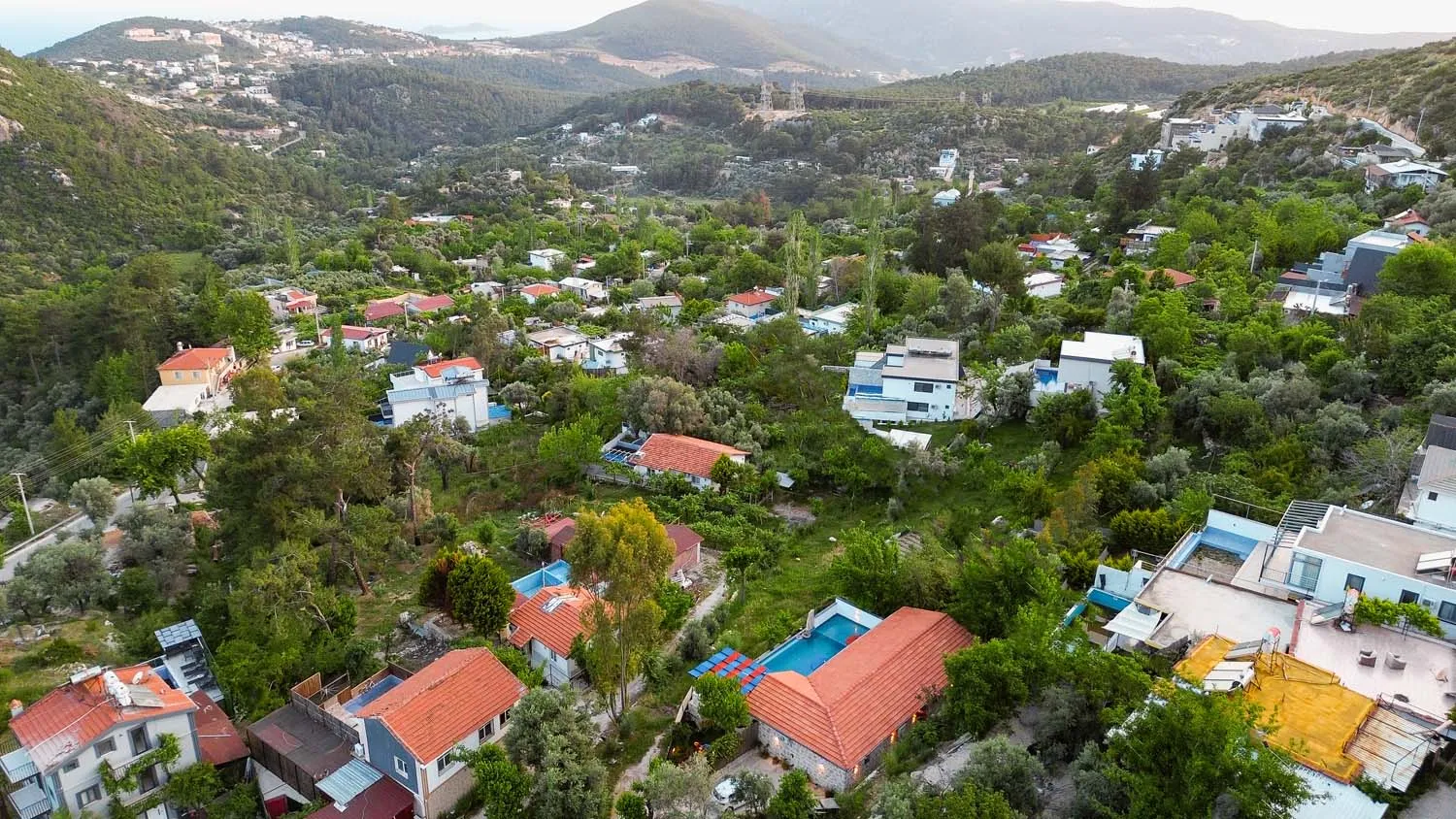 Fotoğraf 61